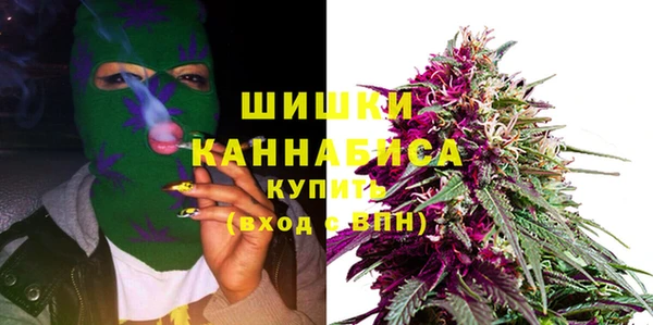 шишки Абинск