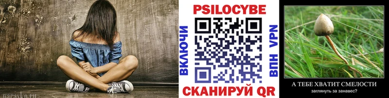 Галлюциногенные грибы мицелий  Венёв 